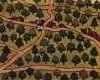 alton towers map 1981 trees 1