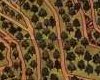 alton towers map 1981 trees 4