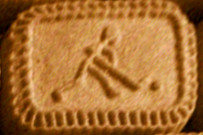 sports biscuit hockey