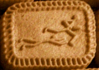 sports biscuit rugby