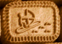 sports biscuit sailing