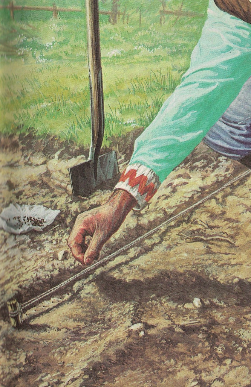 the enormous turnip 1970 book page 03