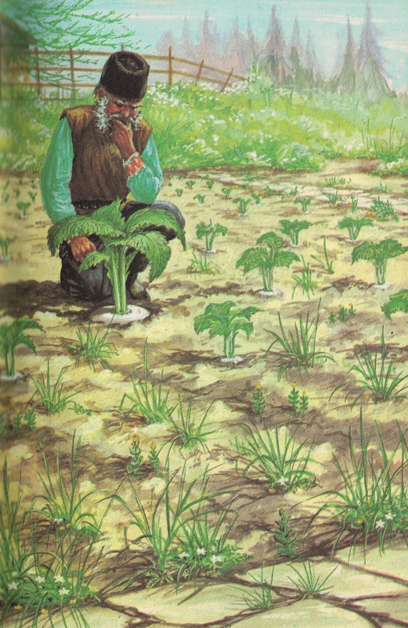 the enormous turnip 1970 book page 05