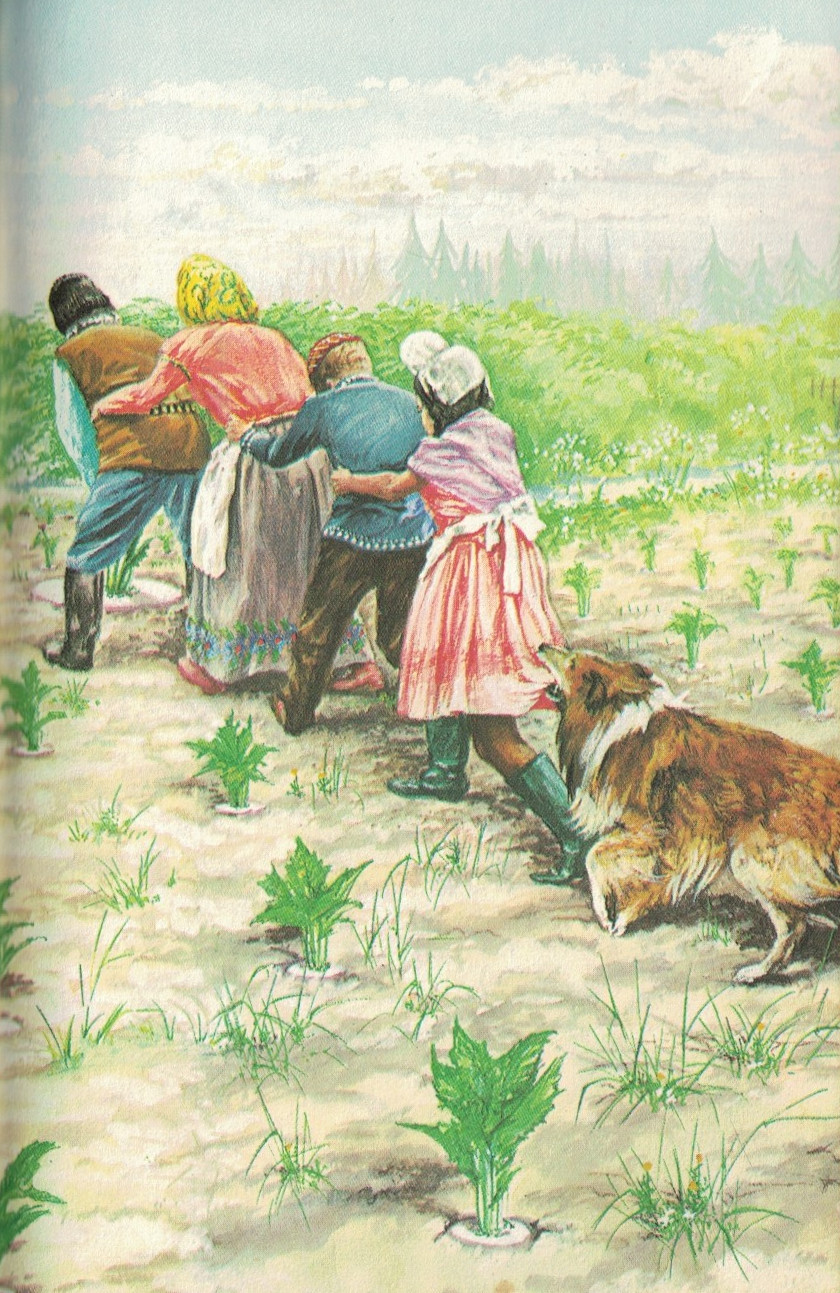 the enormous turnip 1970 book page 16