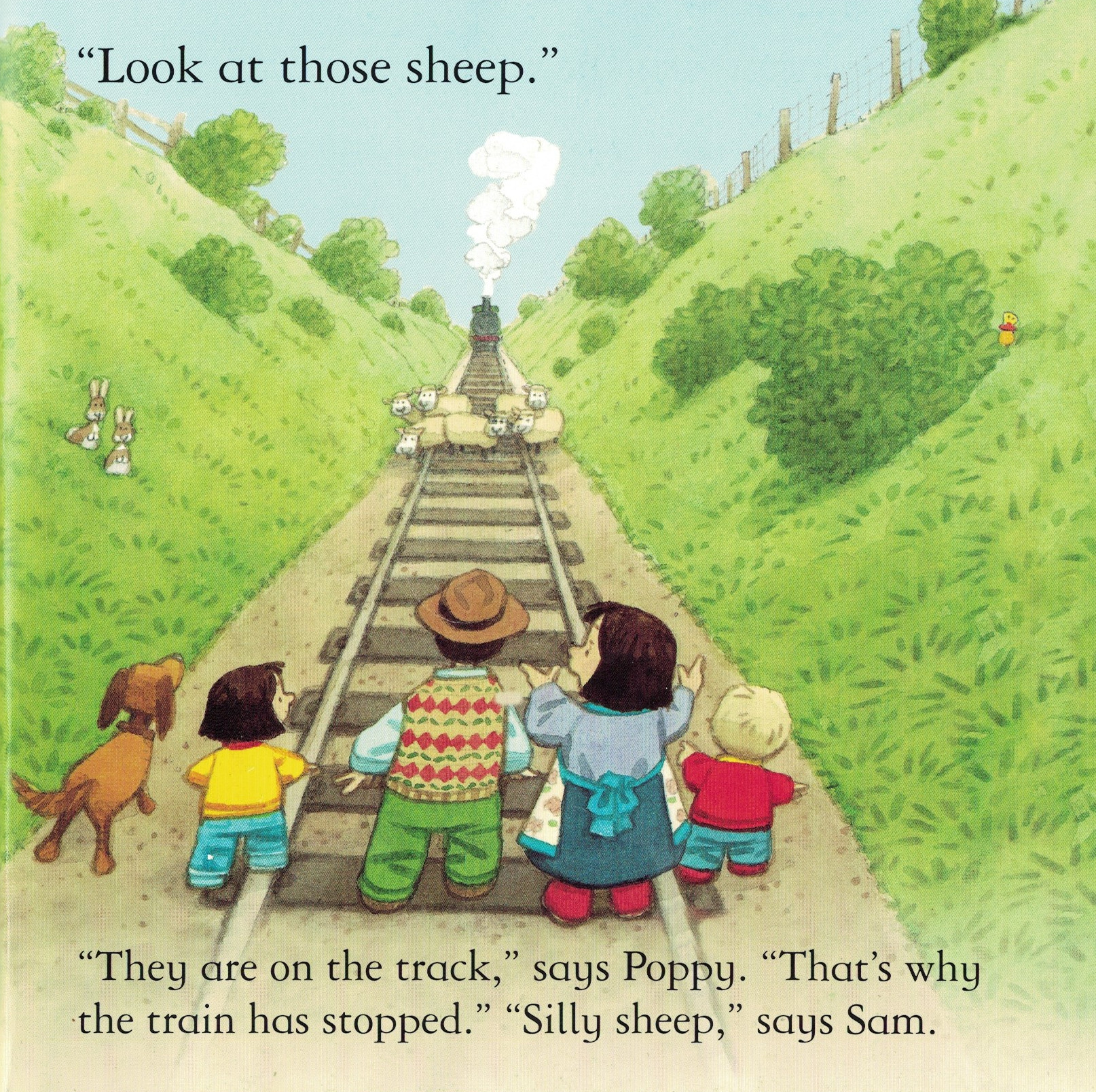 woolly stops the train look at those sheep
