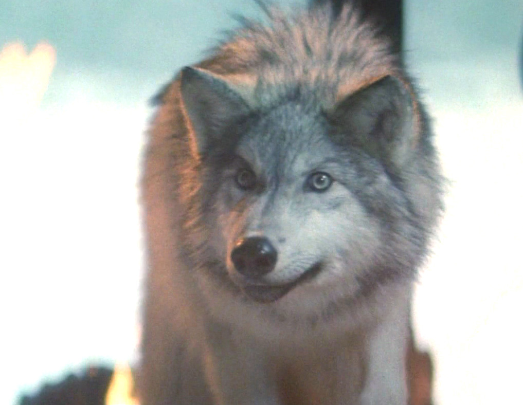 stay tuned 1992 movie ice ron in hole