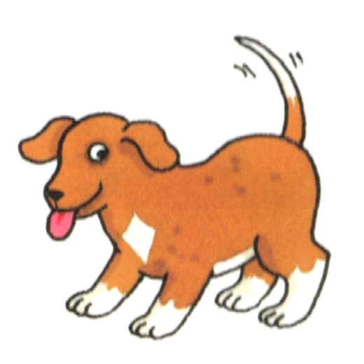 dear zoo dog