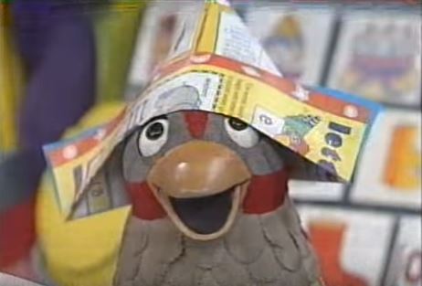 why bird