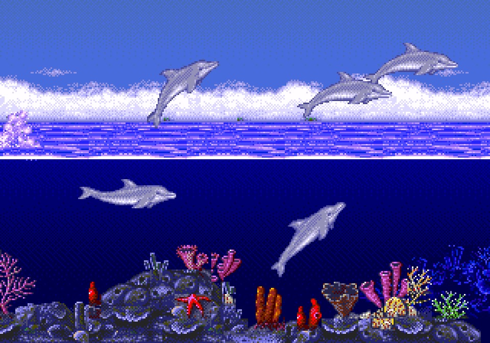 Ecco the dolphin